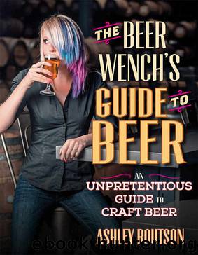 The Beer Wench's Guide to Beer: An Unpretentious Guide to Craft Beer by Ashley V. Routson