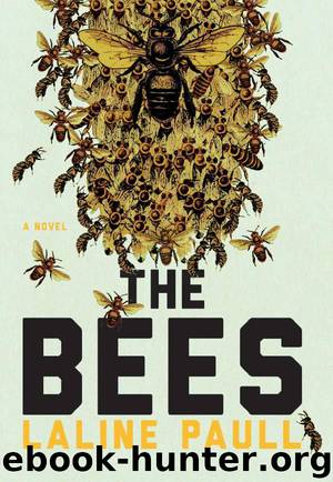 The Bees A Novel (Laline Paull) by Laline Paull
