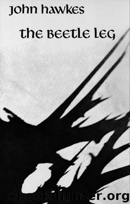 The Beetle Leg: Novel by Hawkes John