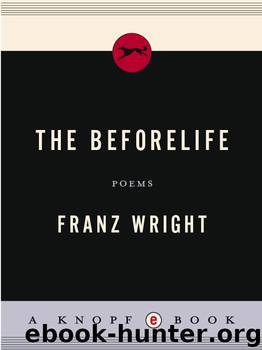 The Beforelife by Franz Wright