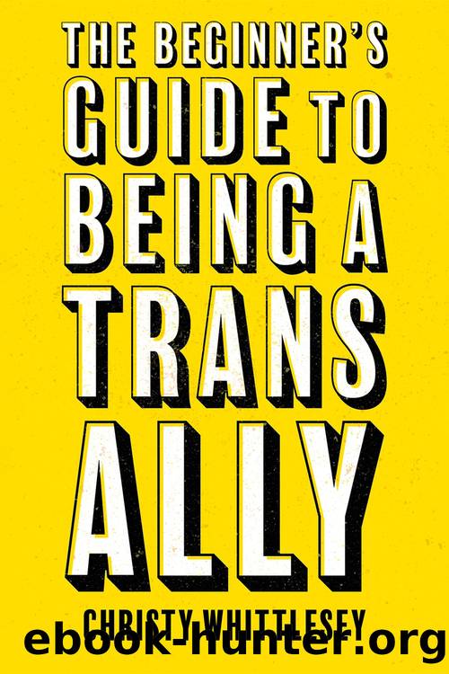The Beginner's Guide to Being a Trans Ally by Christy Whittlesey