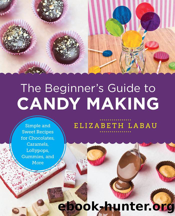 The Beginner's Guide to Candy Making by LaBau Elizabeth;