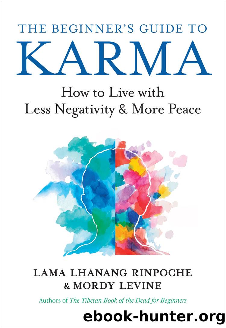 The Beginner's Guide to Karma by Lama Lhanang Rinpoche & Mordy Levine