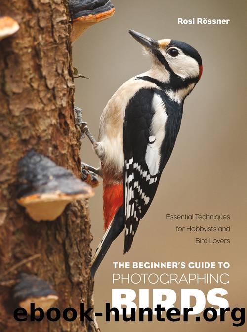 The Beginner's Guide to Photographing Birds by Rosl Rössner