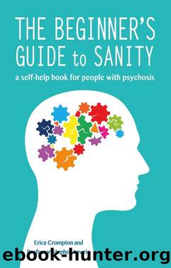 The Beginner's Guide to Sanity by Erica Crompton