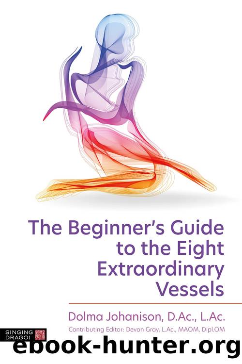 The Beginner's Guide to the Eight Extraordinary Vessels by Dolma Johanison
