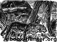 The Beginning by Hasse Henry