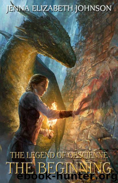 The Beginning by Jenna Elizabeth Johnson