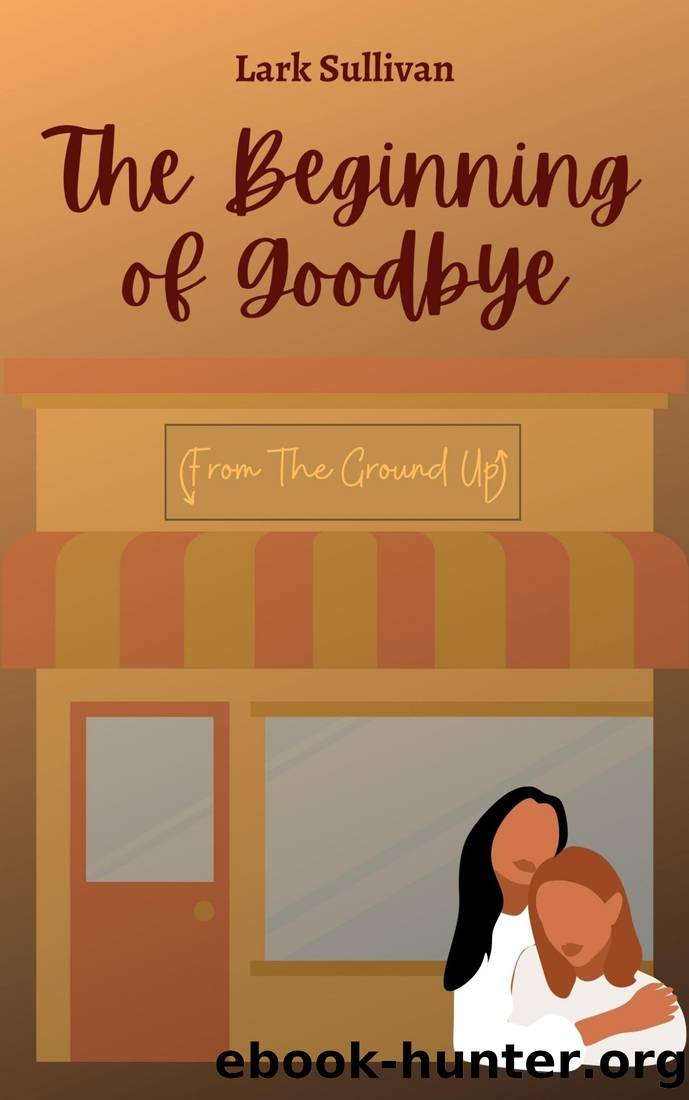 The Beginning of Goodbye by Lark Sullivan