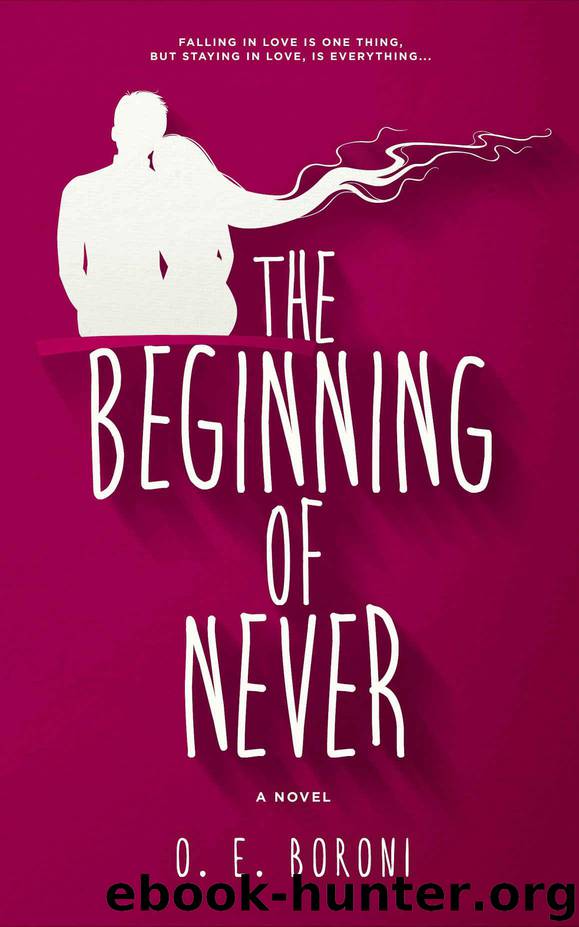 The Beginning of Never by O. E. Boroni