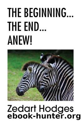 The Beginning... the End... Anew! by Zedart Hodges