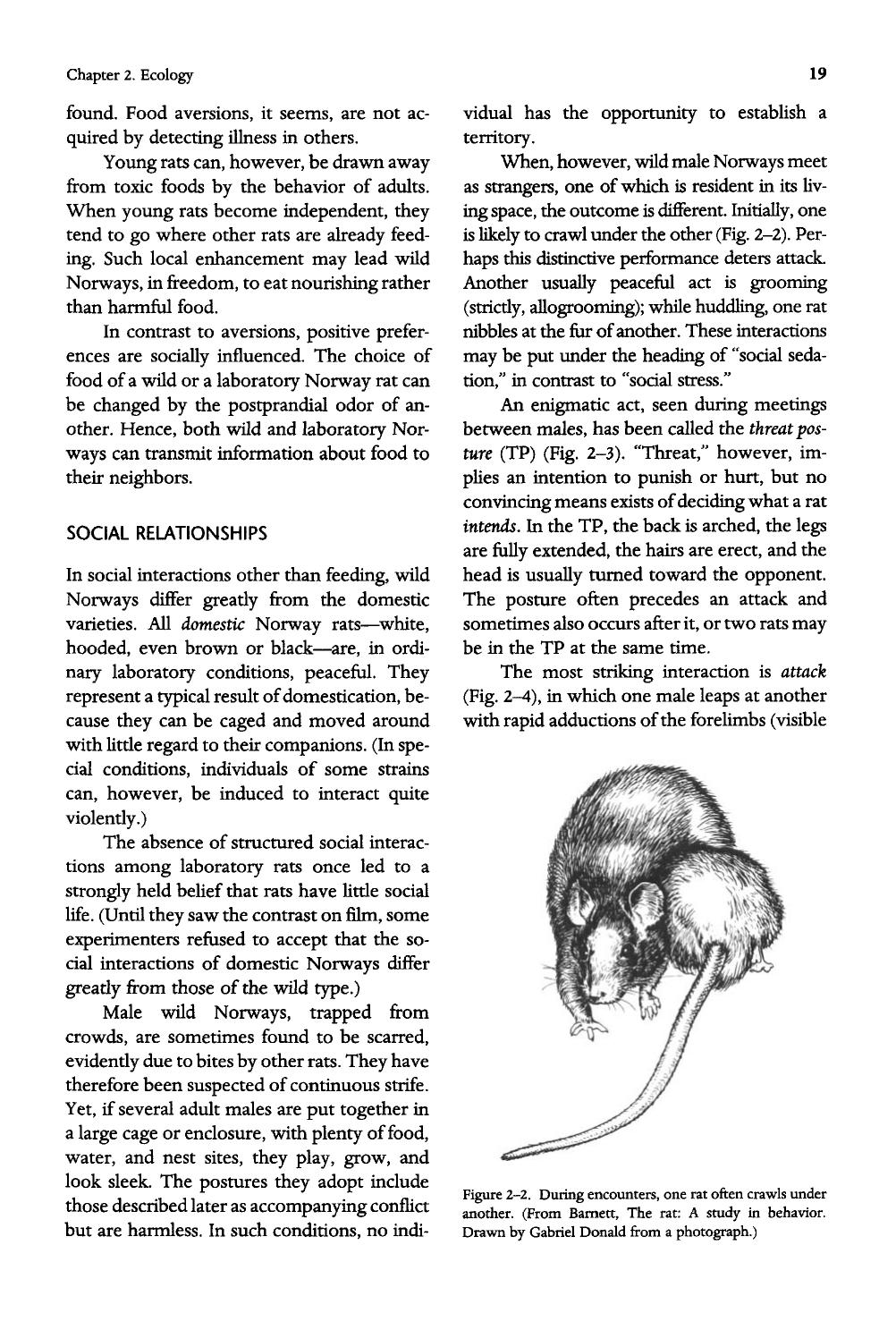 The Behavior of the Laboratory Rat: A Handbook with Tests by Ian Q. Whishaw & Bryan Kolb