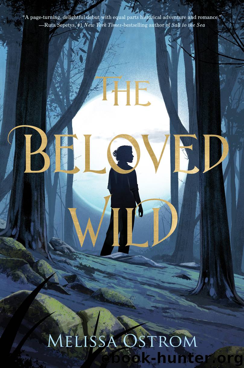 The Beloved Wild by Melissa Ostrom