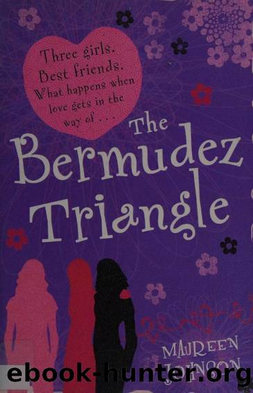 The Bermudez triangle by Johnson Maureen 1973-