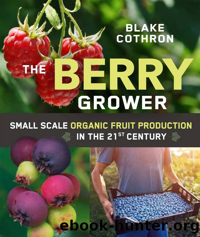 The Berry Grower by Blake Cothron
