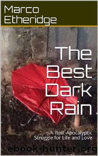 The Best Dark Rain_A Post-Apocalyptic Struggle for Life and Love by Marco Etheridge
