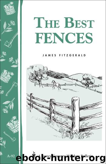 The Best Fences by James Fitzgerald