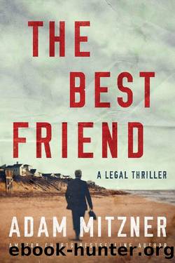 The Best Friend by Adam Mitzner
