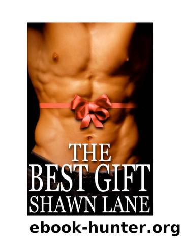 The Best Gift 1 by Shawn Lane