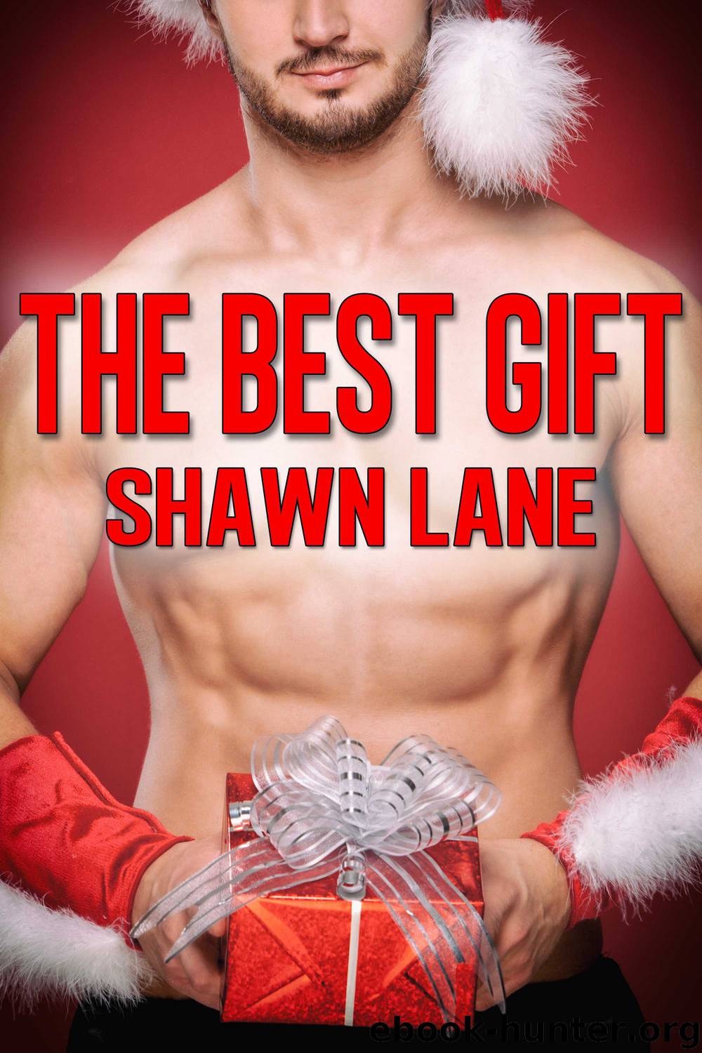 The Best Gift by Shawn Lane