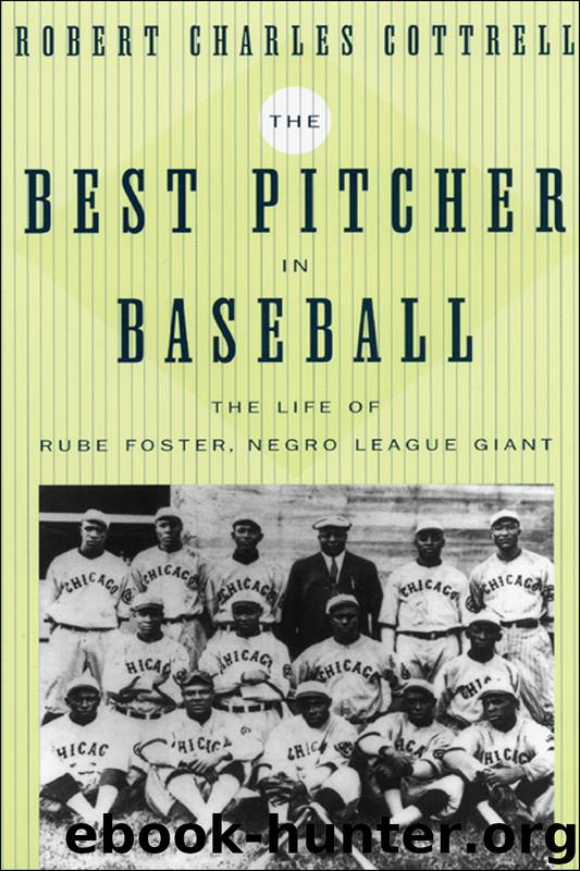 The Best Pitcher in Baseball by Robert Charles Cottrell