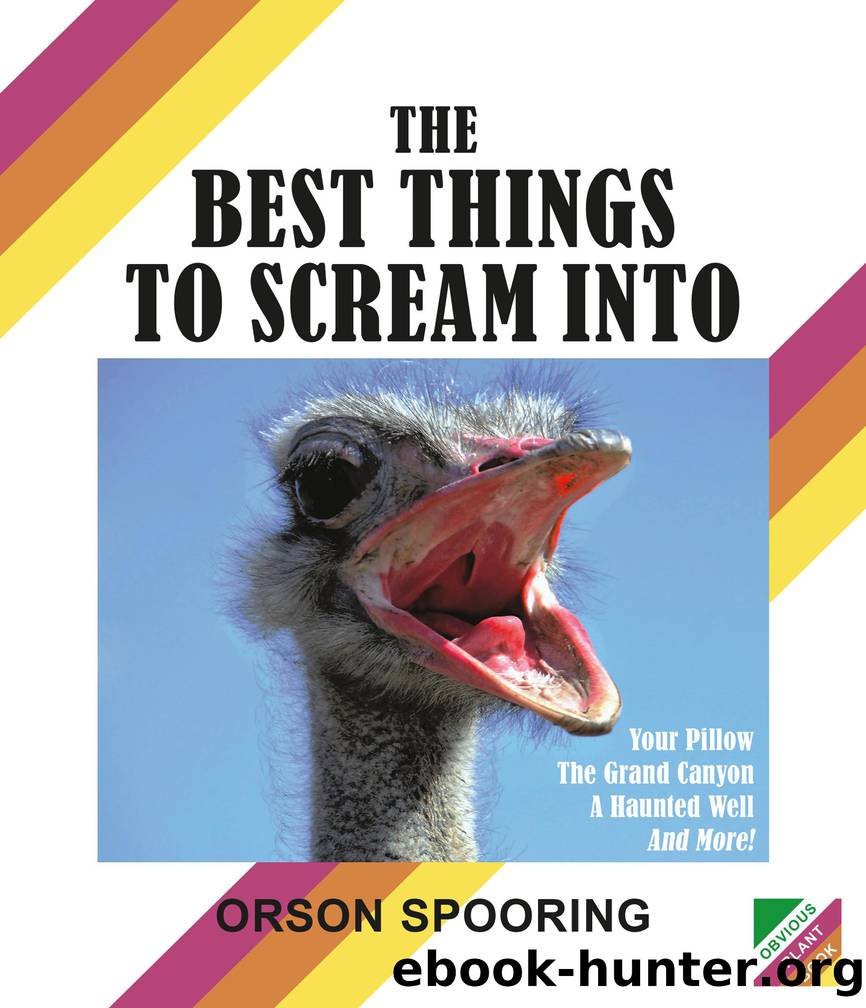The Best Things to Scream Into by Orson Spooring