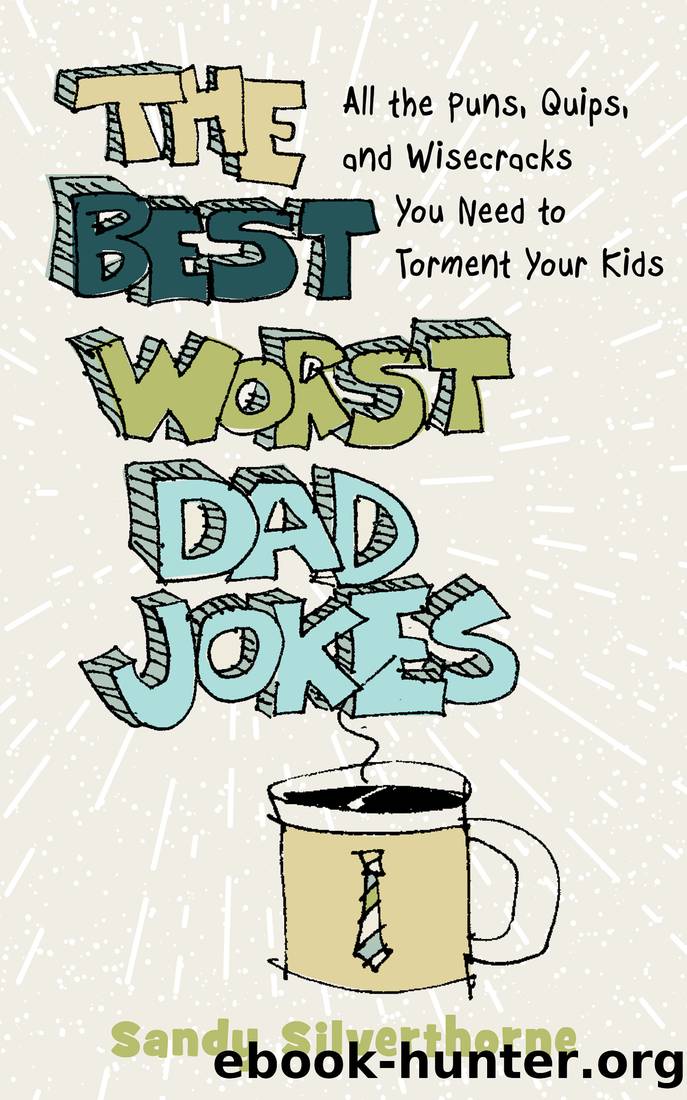 The Best Worst Dad Jokes by Sandy Silverthorne