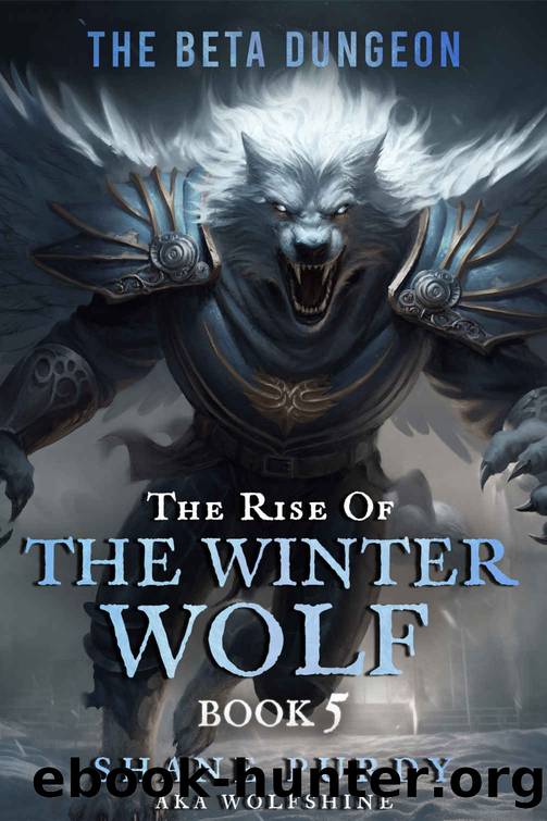 The Beta Dungeon: A Livestreamed Dungeon Crawl LitRPG (The Rise of the Winter Wolf Book 5) by Shane Purdy