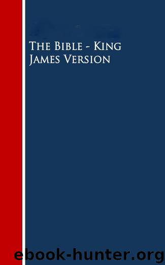The Bible - King James Version by Unbekannt