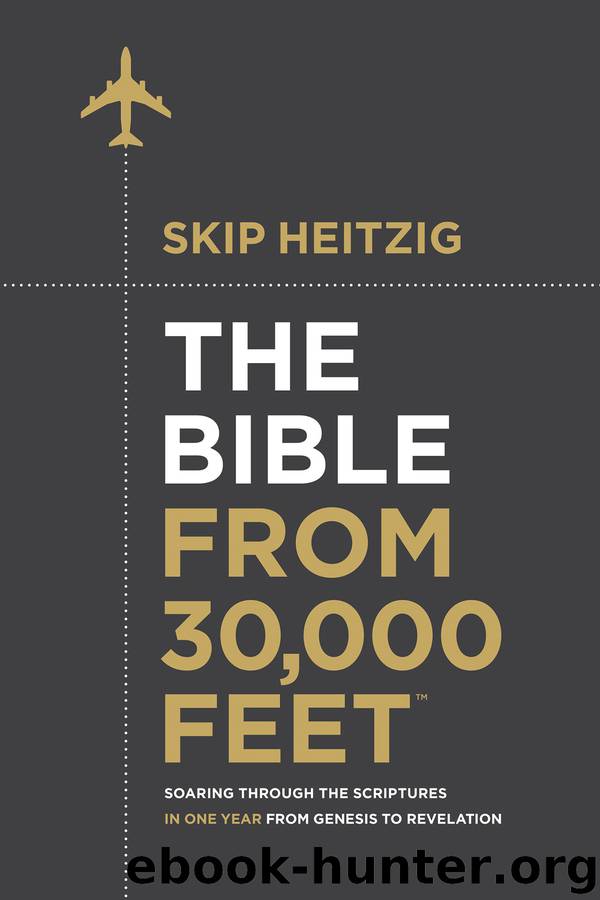 The Bible from 30,000 Feet by Skip Heitzig