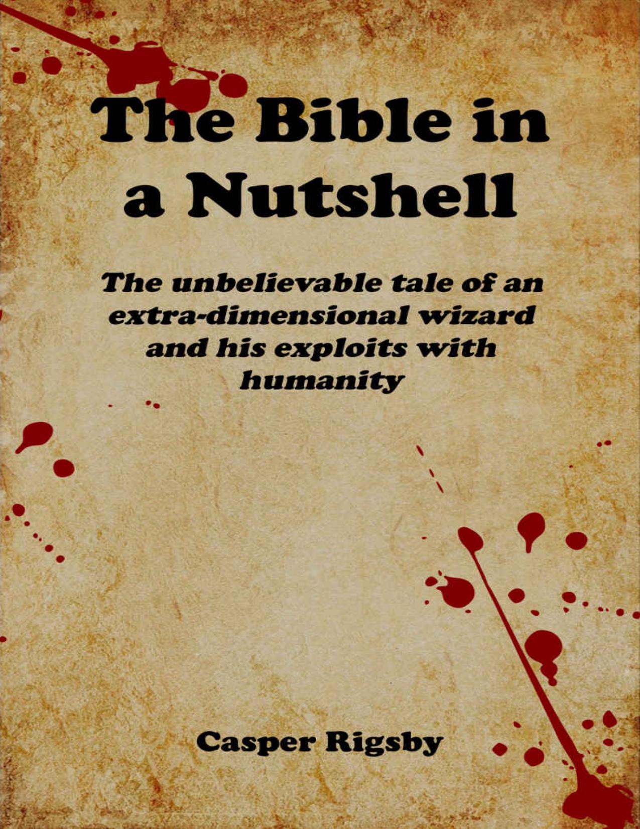 The Bible in a Nutshell by RIGSBY Casper