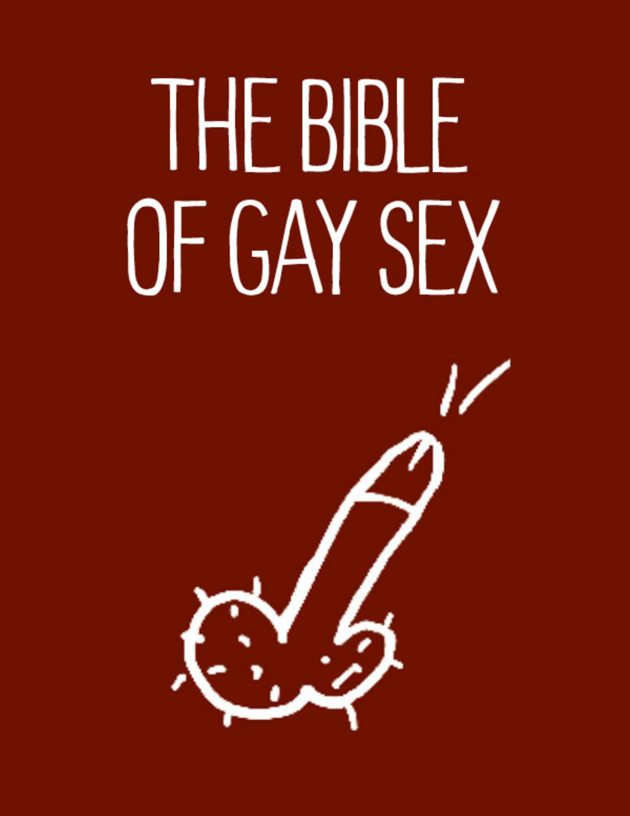 The Bible of Gay Sex by Stephan Niederwieser