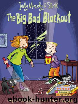 The Big Bad Blackout by Megan McDonald