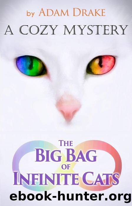 The Big Bag of Infinite Cats by Adam Drake