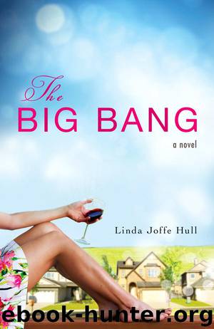 The Big Bang by Linda Joffe Hull