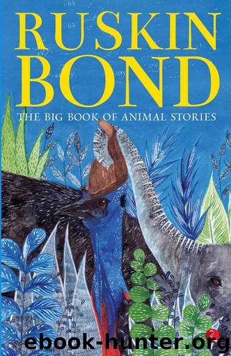 The Big Book of Animal Stories by Ruskin Bond