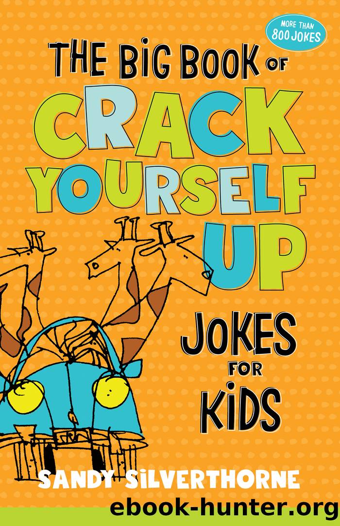 The Big Book of Crack Yourself Up Jokes for Kids by Sandy Silverthorne