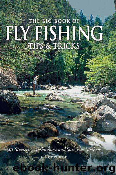 The Big Book of Fly Fishing Tips & Tricks by C. Boyd Pfeiffer