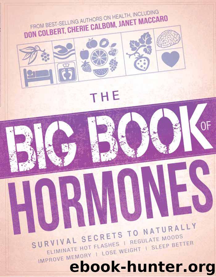 The Big Book of Hormones by Siloam Editors