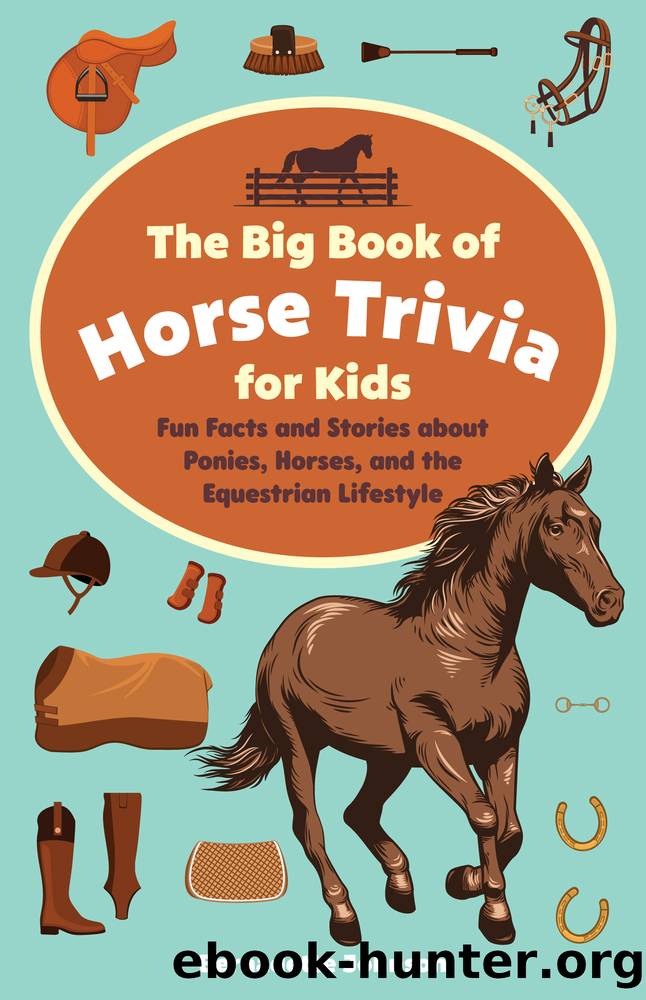 The Big Book of Horse Trivia for Kids by Bernadette Johnson