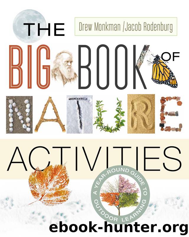 The Big Book of Nature Activities by Jacob Rodenburg