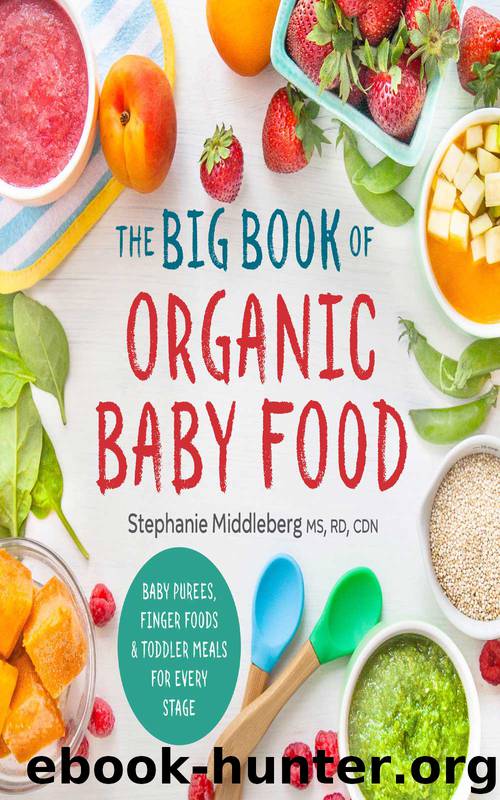 The Big Book of Organic Baby Food by Stephanie Middleberg MS RD CDN