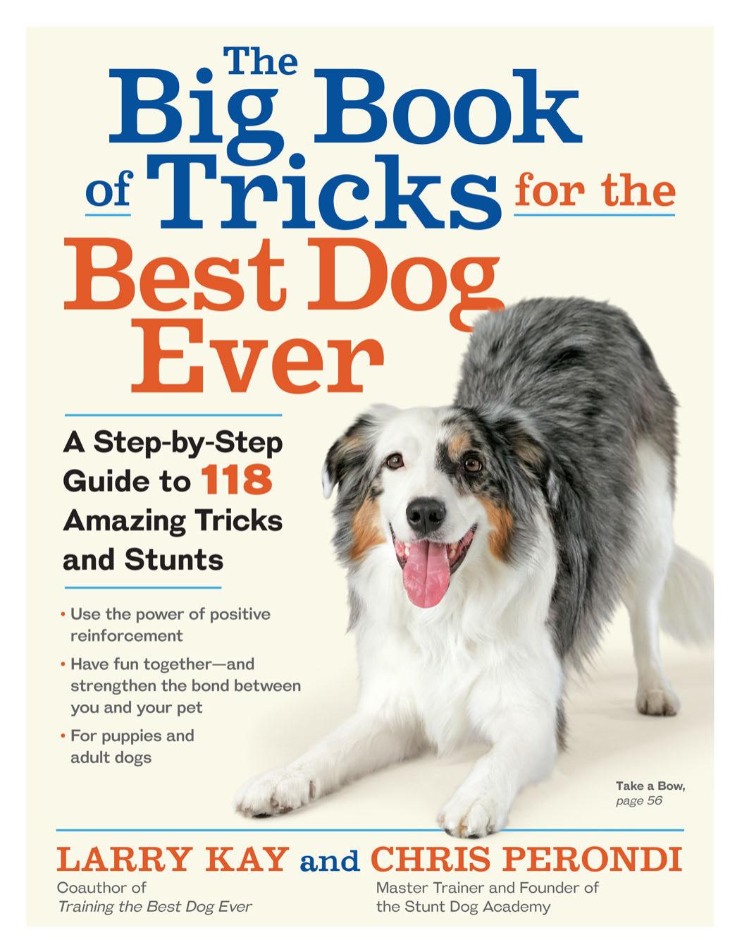The Big Book of Tricks for the Best Dog Ever by Larry Kay