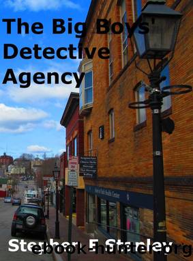 The Big Boys' Detective Agency by Stephen Stanley