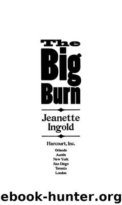 The Big Burn by Jeanette Ingold