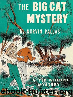 The Big Cat Mystery by Norvin Pallas