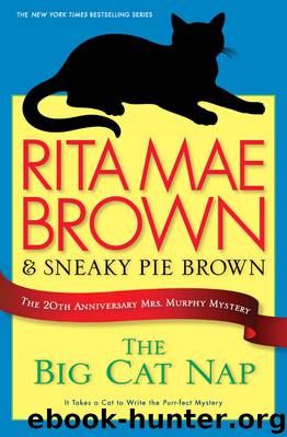 The Big Cat Nap by Rita Mae Brown