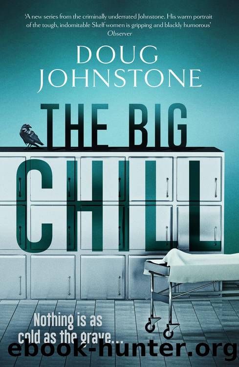 The Big Chill by Doug Johnstone