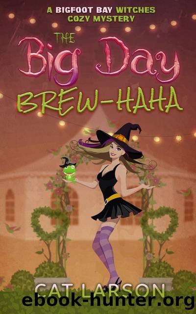 The Big Day Brew-HaHa by Cat Larson