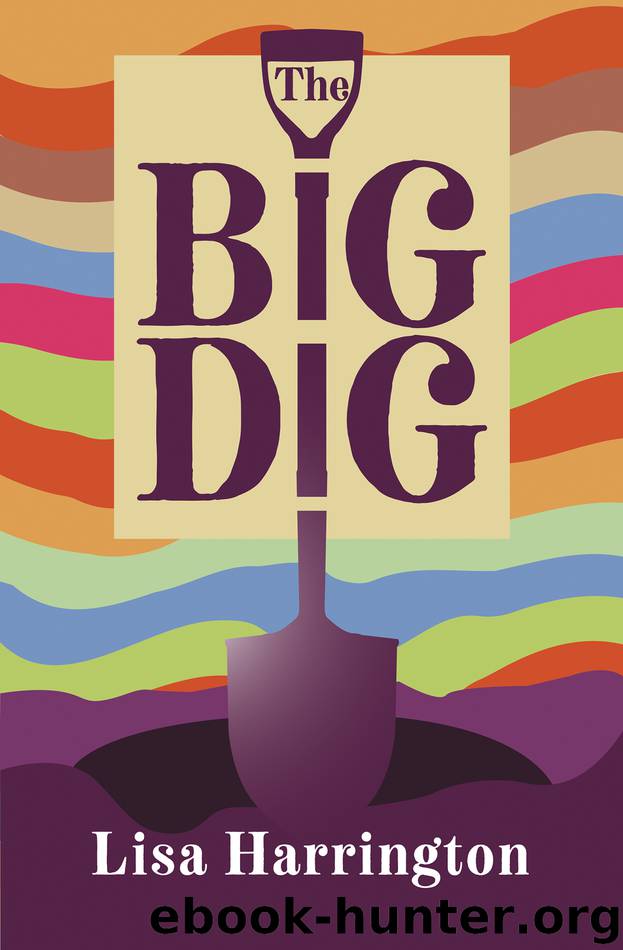 The Big Dig by Lisa Harrington
